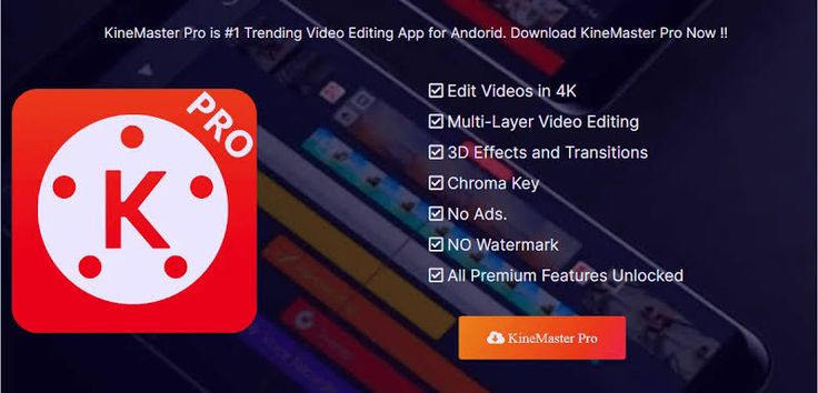 How to Use KineMaster for Pro Photo Editing on iOS